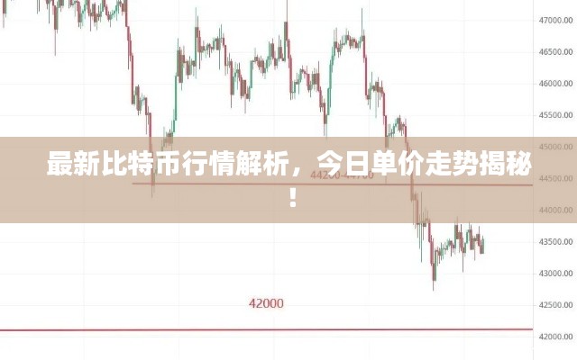 最新比特幣行情解析，今日單價(jià)走勢揭秘！