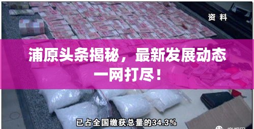 浦原頭條揭秘，最新發(fā)展動態(tài)一網(wǎng)打盡！